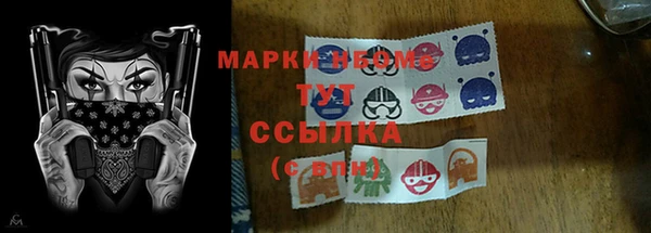 гидропоника Иннополис