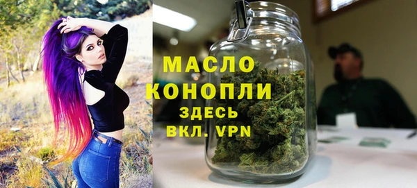 стаф Каменка